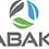 Jonas_SABAK